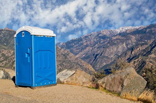 Best Affordable portable toilet rental  in Fruitland, MD
